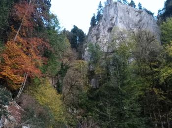 Tour Wandern La Frasnée - La Frasnée - Photo