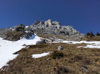 Percorso Sci alpinismo Le Grand-Bornand - Col de Balafrasse et tout de la pointe Est du midi  - Photo