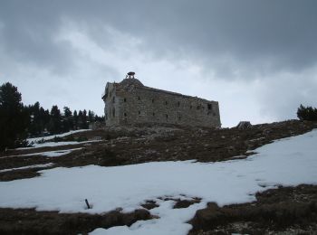 Tour Zu Fuß Toblach - IT-40A - Photo