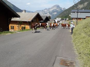 Percorso Marcia Châtel - petit chatel - Photo