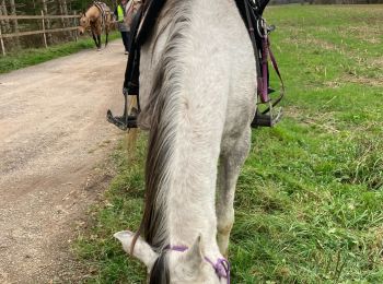 Randonnée Randonnée équestre Métairies-Saint-Quirin - Rond pré avec Lola et shine  - Photo