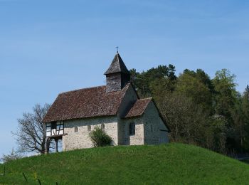 Tour Zu Fuß Hauptwil-Gottshaus - Hauptwil - Hudelmoos - Photo