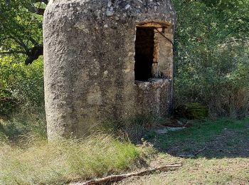 Randonnée Marche Forcalquier - Cereste - Photo