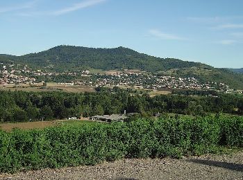 Percorso Marcia Mirefleurs - Mirefleurs_Puy_St_Romain_1 - Photo