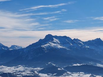 Tour Schneeschuhwandern Susville - les Merlins - Photo