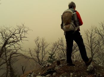 Tocht Stappen Le Gua - Ascension et tour de l'Epérimont - Photo