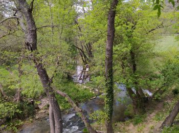 Tour Wandern Entrecasteaux - entrecastaux / mentonne - Photo