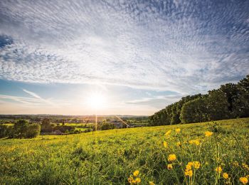 Tour Wandern Ronse - taalgrens_wandelroute - Photo