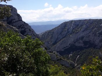 Tour Wandern Saint-Paul-de-Fenouillet - galamus - Photo