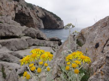 Tocht Te voet Torroella de Montgrí - SL-C 20 Cala Pedrosa i Cala Feriol - Photo