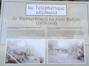 Trail Walking Rouffach - Boenlesgrab - Ried (14.03.2024) - Photo