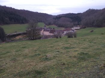 Tocht Stappen Chaux-lès-Passavant - grâce diable retour par coteau opposé - Photo