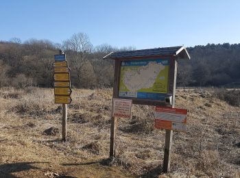 Randonnée A pied Aggtelek - Karsztbarlangok nyomában tematikus út - Photo