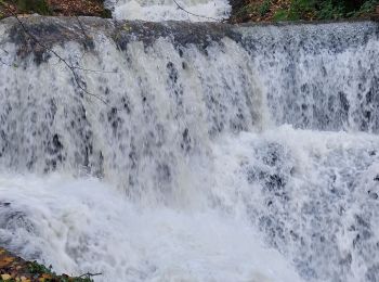 Tour Wandern Vaire - Arcier - Photo