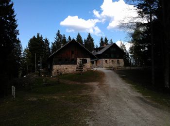 Tour Zu Fuß Maria Rast - Holcarska pot - Photo