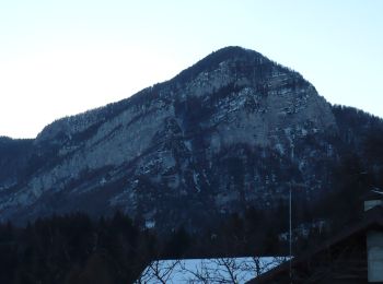 Percorso A piedi Canal San Bovo - Sentiero del Totoga - Photo