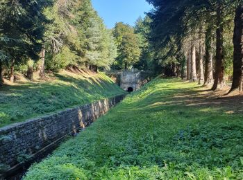 Tocht Stappen Les Cammazes - rando les cammazes  - Photo