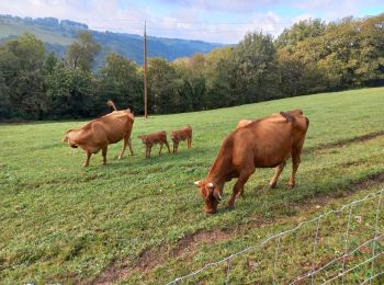 Trail Walking Estaing - Estaing / Golinhac - Photo