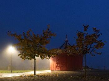 Randonnée A pied La Morra - Sentiero delle Grandi Vigne - Photo