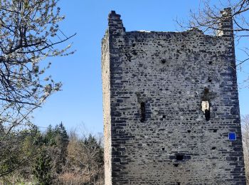 Tour Wandern La Trinité - les Tours de Montmayeur  - Photo