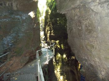 Excursión A pie Borgo d'Anaunia - Sentiero attrezzato del Mondino - Photo