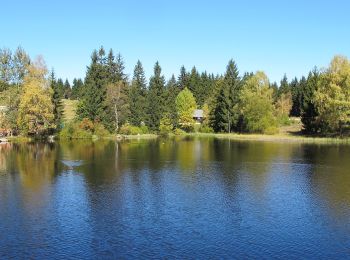 Excursión A pie Bedřichov - Technicko-přírodní naučná stezka Černá Nisa - Photo