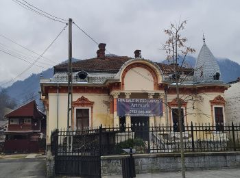 Percorso A piedi Brezoi - hiking - Photo