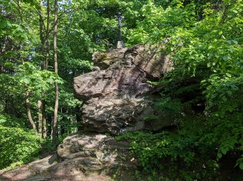 Tocht Te voet Nový Rychnov - NS Křemešník - Photo