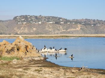 Trail Walking Algarrobo - playa de Tunquen - Photo
