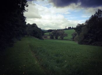 Trail On foot Wissen - Botanischer Weg - Photo