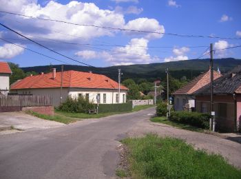 Randonnée A pied Perőcsény - P+ (Perőcsény-Nagy-Hideg-hegy) - Photo