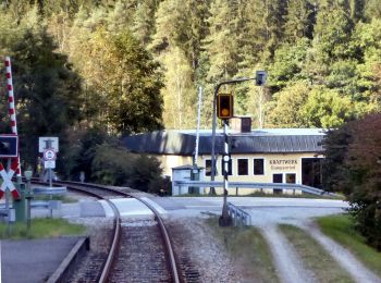 Excursión A pie Geiersthal - Viechtach, Zielwanderweg 3 nach Gumpenried - Photo