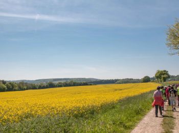 Randonnée Marche Mauves-sur-Huisne - Mauves-sur-Huisne - Rémalard 16 km - Photo