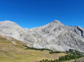 Trail Walking Montgenèvre - Montgenevre  - Photo