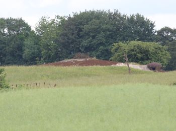 Tocht Te voet Viviers-sur-Chiers - CV Longuyon Verte - Photo