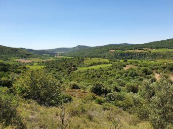 Tour Wandern Cabrières -  les crêtes de vissou - Photo