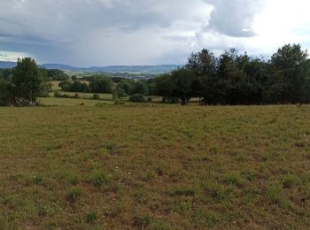 Trail Walking Fursac - Crechat, l'ecornebeuf, boi de Chabanne  - Photo