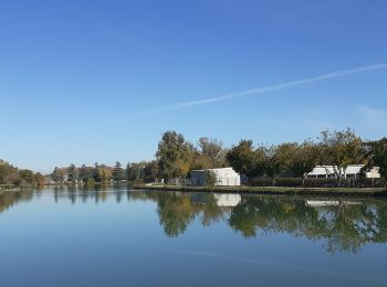 Tour Wandern Lisle-sur-Tarn - Lisle sur Tarn Rando primeur - Photo