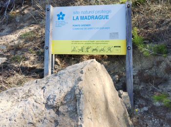 Trail Walking Saint-Cyr-sur-Mer - Port d'Alon-Madrague - Photo