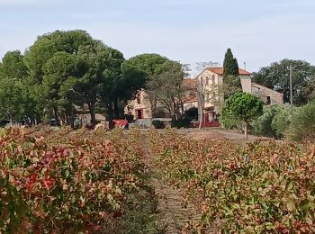 Tour Wandern Saint-Nazaire - Soleil les mas guillemet - Photo