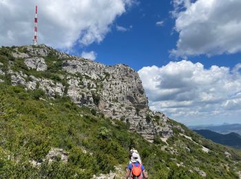 Excursión Senderismo Montpeyroux - Font du Griffe le Baudille - Photo