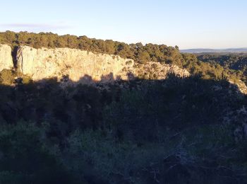 Tour Wandern Caunes-Minervois - Sénateurs à nd du Cros 7 01.2025 - Photo