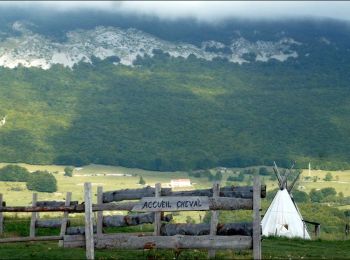 Trail Horseback riding Vassieux-en-Vercors - Boucle Vassieux - Plaine de Vassieux - Photo