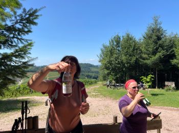 Tour Wandern Oberkirch - Randonnée forêt noire schnaps - Photo