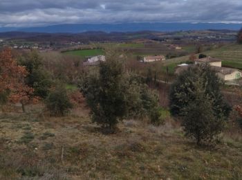 Tour Wandern Saint-Donat-sur-l'Herbasse - 26 st donar pas a pas - Photo