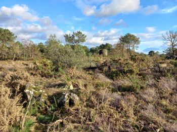 Trail Walking Malansac - Les grées en Rochefort en terre - Photo