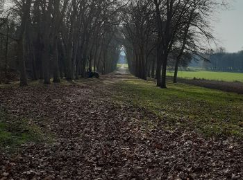 Percorso Marcia Courances - Courabces,Moigny,Videlles ,Dannemois - Photo