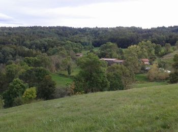 Trail Walking Saint-Julien-d'Ance - Bourriane - Photo