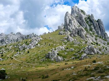 Tour Zu Fuß  - 1003 Libinjska kosa - Alanac - Photo