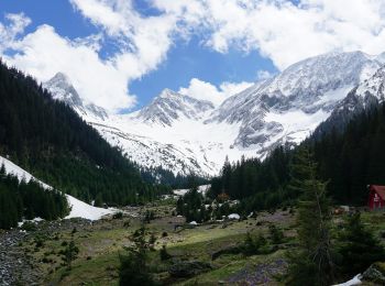 Tour Zu Fuß Unbekannt - Valea Sâmbetei - Piatra Caprei - Căldarea sub Cheia Bândei - Photo